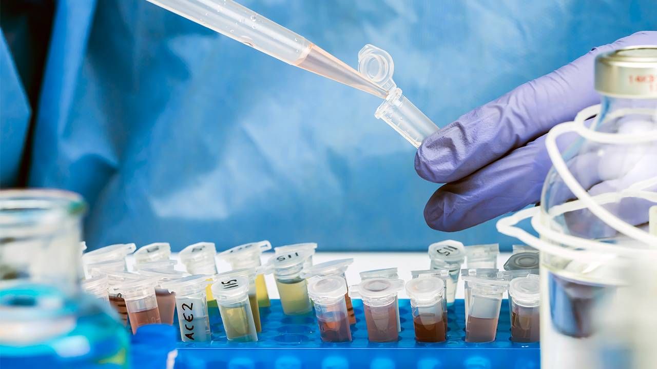 Close up of a laboratory researcher filling test tubes, healthy aging, Next Avenue