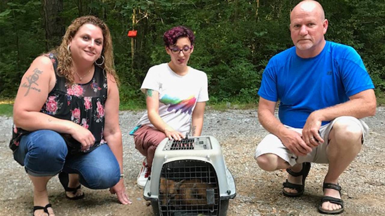Three people squat next to an animal crate with a small red fox inside, loss, Next Avenue