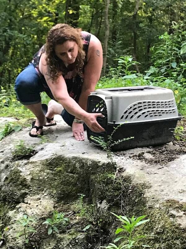 A woman in the forest opening up the crate with the fox inside, loss, Next Avenue