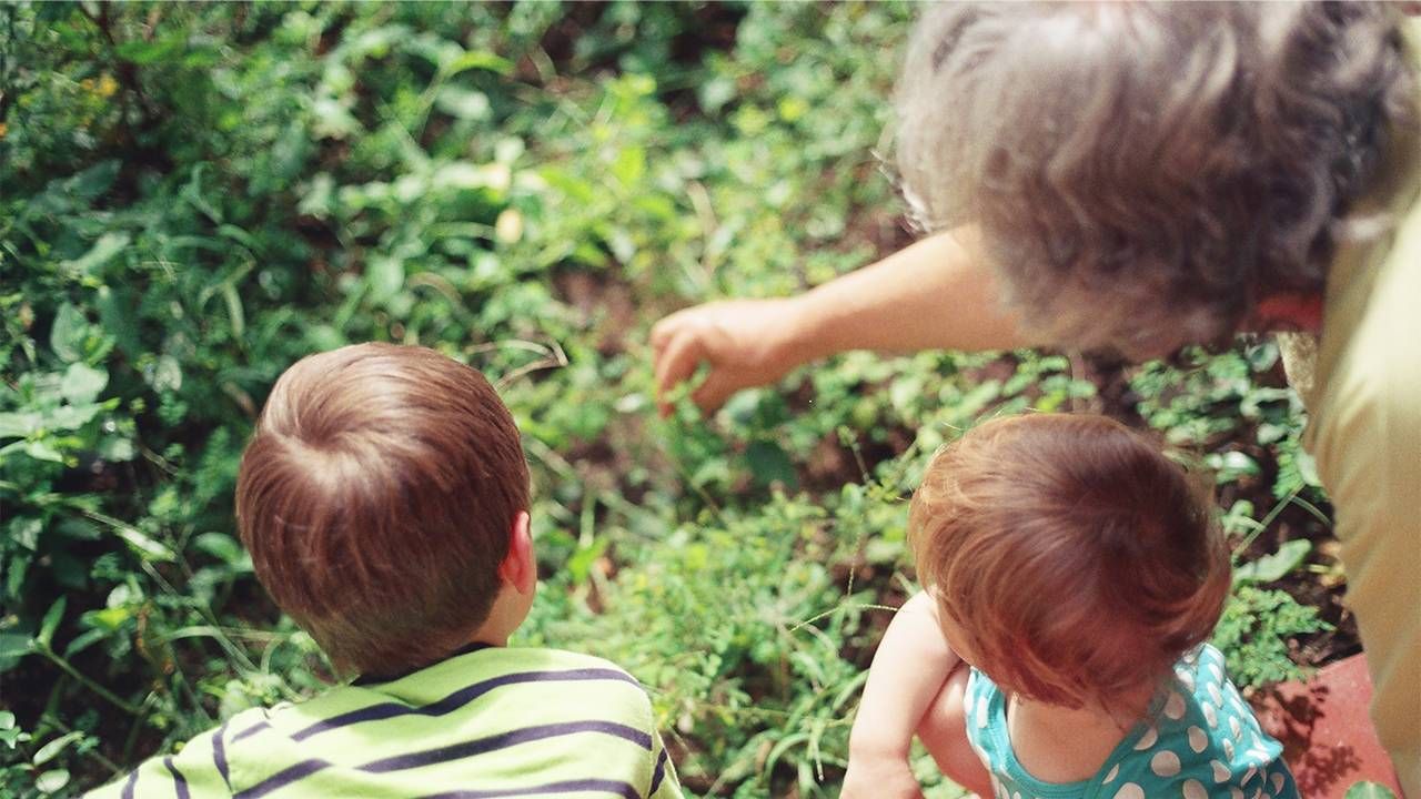 A grandmother playing with her two grandkids in the garden. Grandparenting, Next Avenue