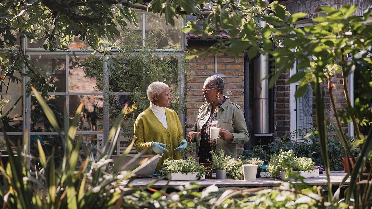 Two friends having a conversation in a garden. Apologize, apology, Next Avenue