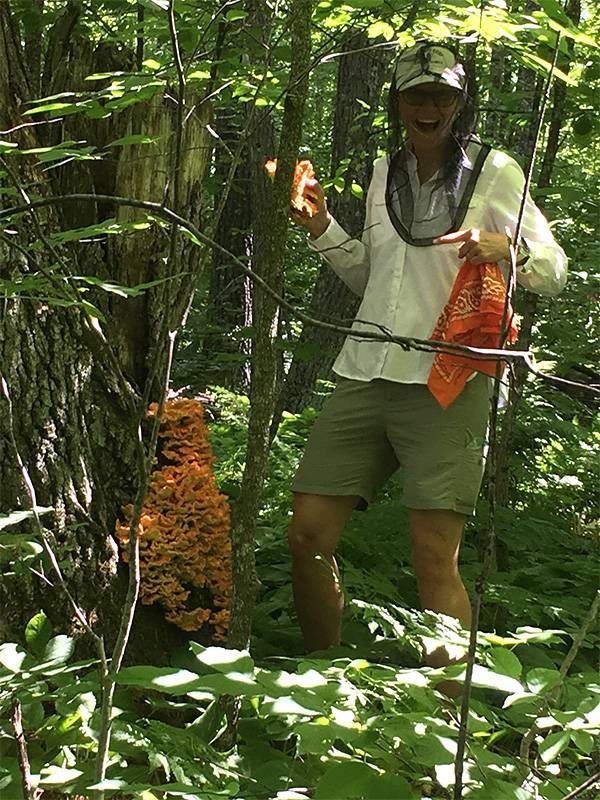 A forager in the woods next to a mushroom growth. Foraging, Next Avenue