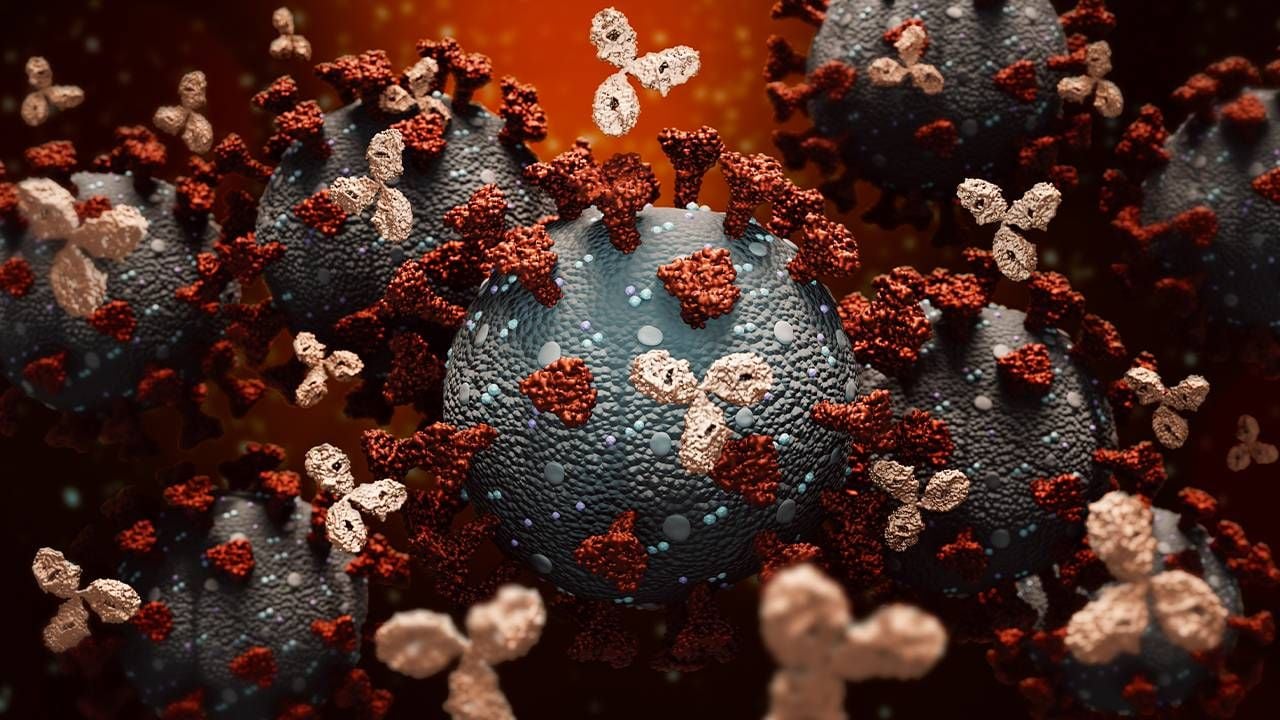 An artist's rendering of monoclonal antibodies fighting against a COVID-19 cell, Next Avenue.