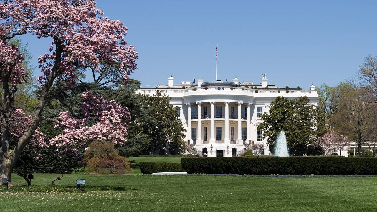 The U.S. White House in Spring with a Cherry Blossom Tree. Aging, retirement, Next Avenue