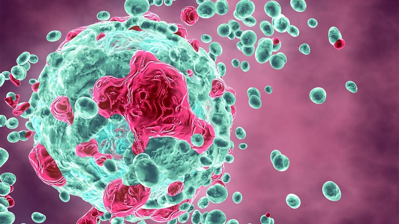 A 3d rendering of cancer cells. Cancer diagnosis, Next Avenue