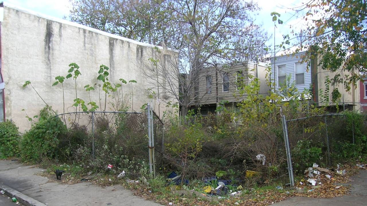 A vacant lot with overgrown weeds and trash. Next Avenue, mini-parks, parks, mental health