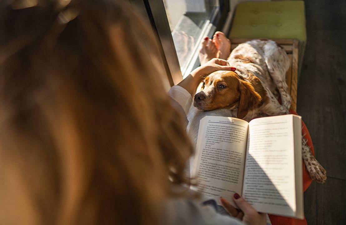A woman reading and petting her dog at home. Next Avenue, cancelled plans, cancel plans, homebody