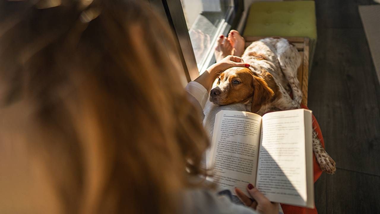 A woman reading and petting her dog at home. Next Avenue, cancelled plans, cancel plans, homebody