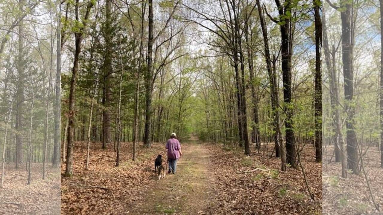 the author walking alone with her two dogs. Next Avenue, dating, widow