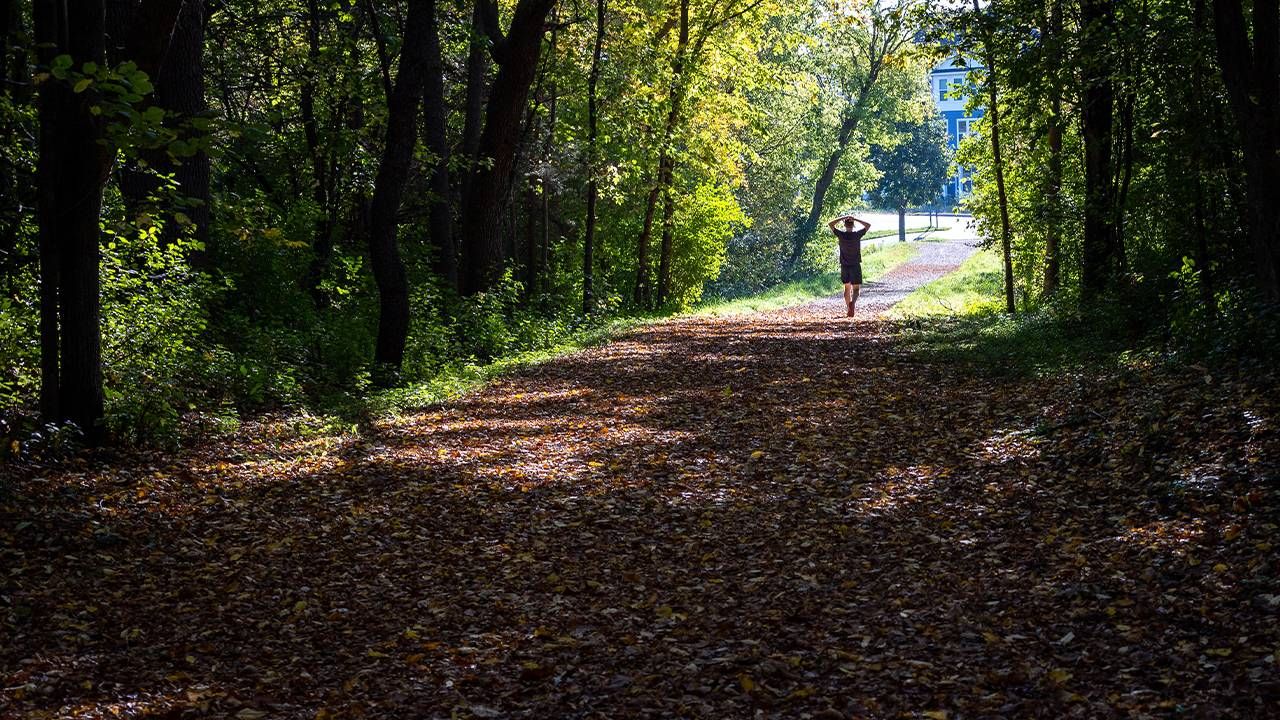 Student photography of a man walking on a forest trail from the photo mini guide. Next Avenue