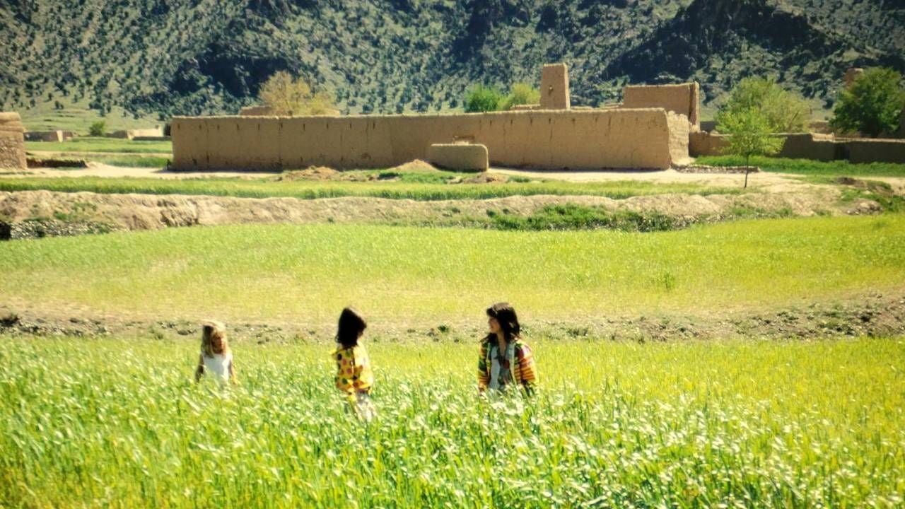 Three children in the grass with an old building in the background. Next Avenue, Family trip, Afghanistan, Kabul