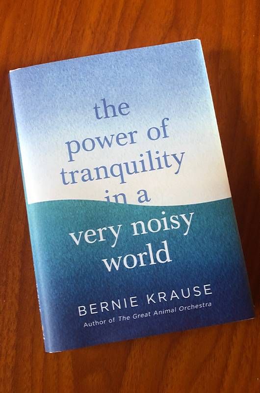 Book cover of, "The Power of Tranquility in a Very Noisy World." Next Avenue, hazardous noise, everyday noise