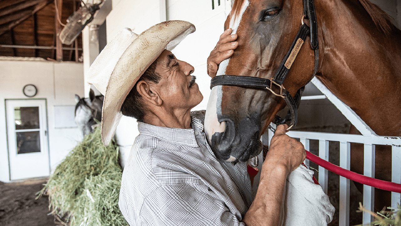 A man petting a horse in a barn. Next Avenue