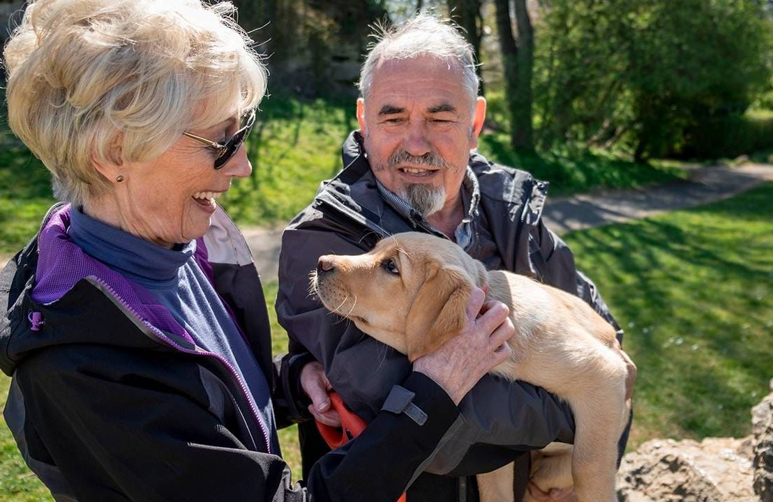 Two older adults petting a puppy while outside walking. Next Avenue, mental health benefits of love