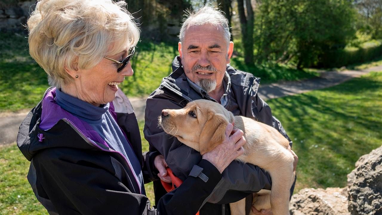 Two older adults petting a puppy while outside walking. Next Avenue, mental health benefits of love