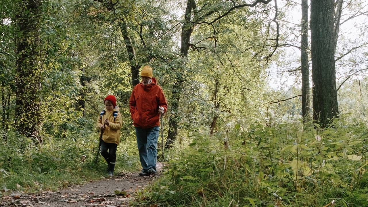 An older man walking in the woods with his grandchild. Next Avenue, overcoming age bias