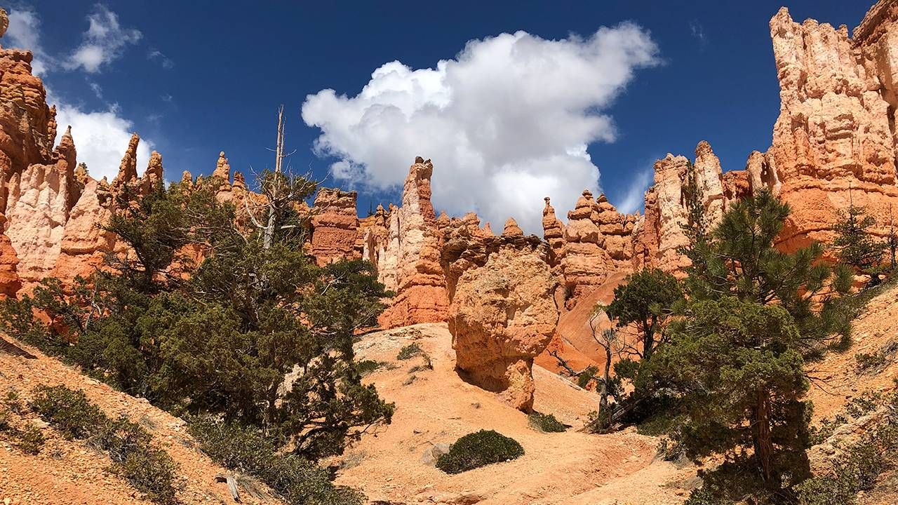 Red rocks in Utah against a vivid blue sky.  Next Avenue, places to travel during the pandemic