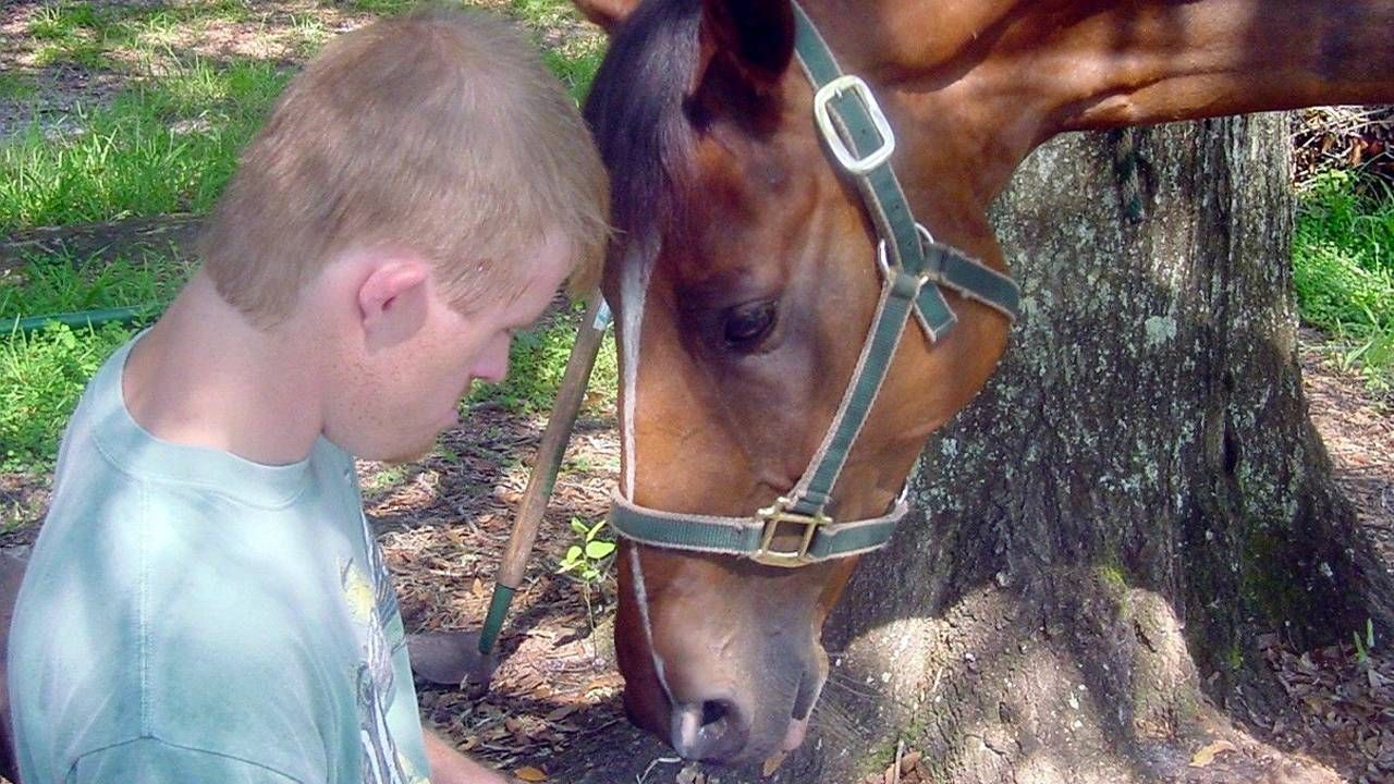 An adult touching his forehead to a horse's forehead. Next Avenue, care for down syndrome adults, alzheimer's