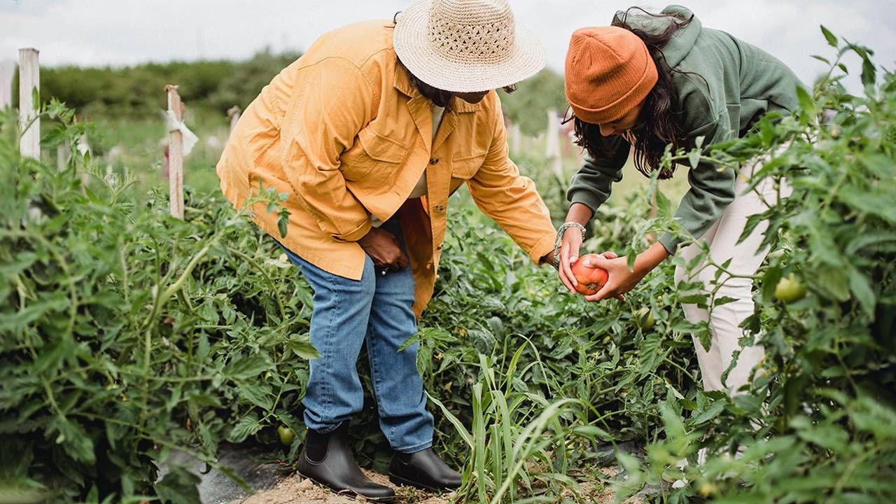 Two women gardening together. Next Avenue, tips caregiver self care