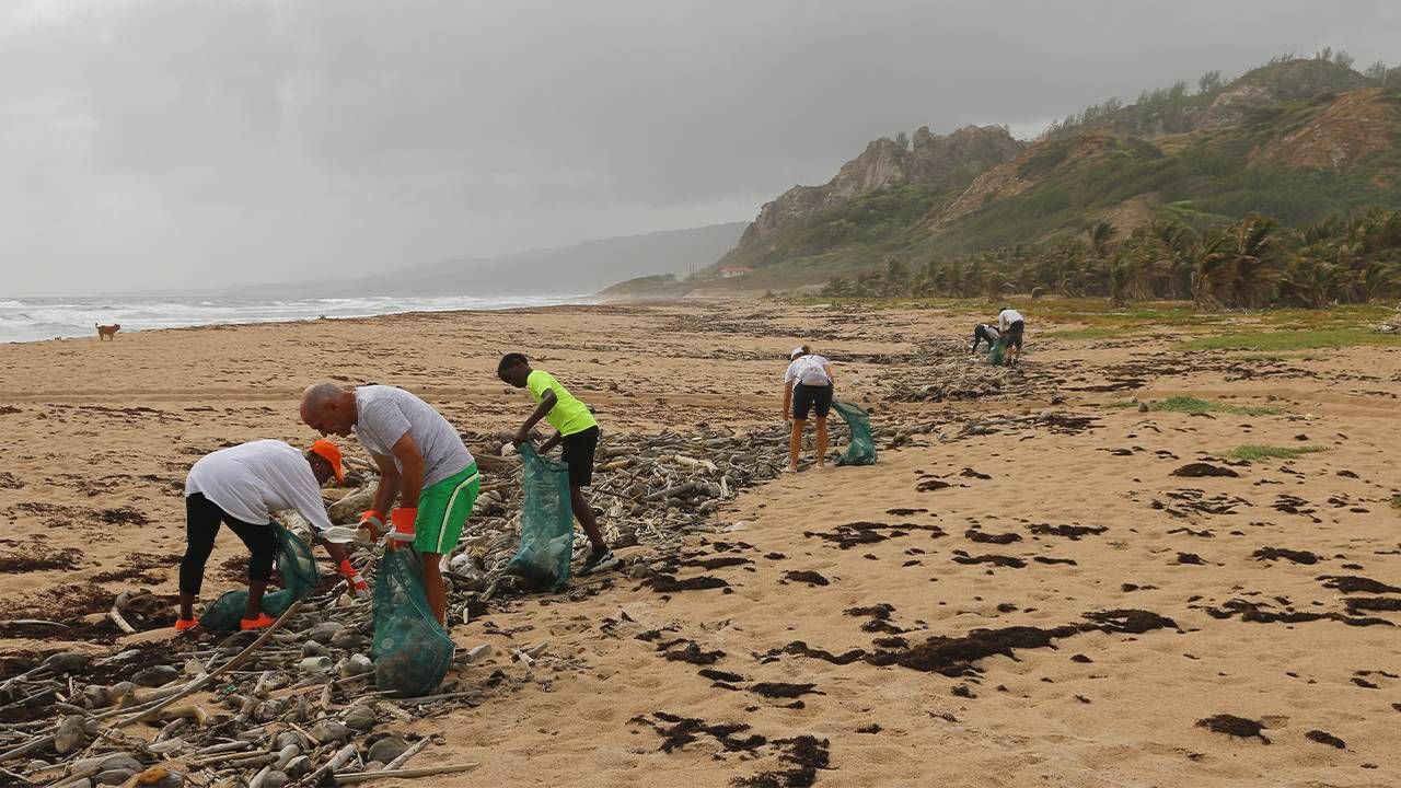 A group of volunteers volunteering for a beach clean-up. Next Avenue, volunteering ideas, retirement