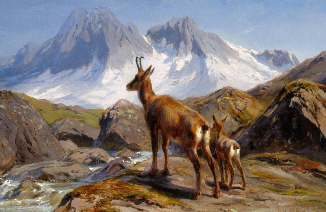A painting of two chamois standing next to a stream. Next Avenue, National Museum of Wildlife Art