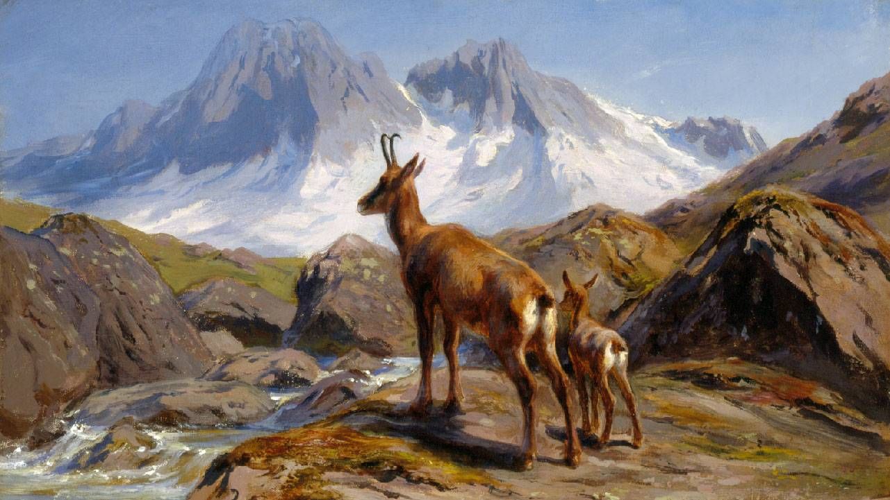 A painting of two chamois standing next to a stream. Next Avenue, National Museum of Wildlife Art