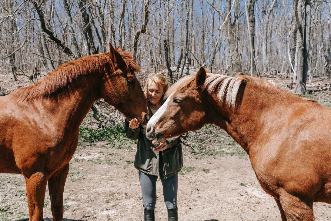 A woman feeding two horses. Next Avenue, Hobbies for depression