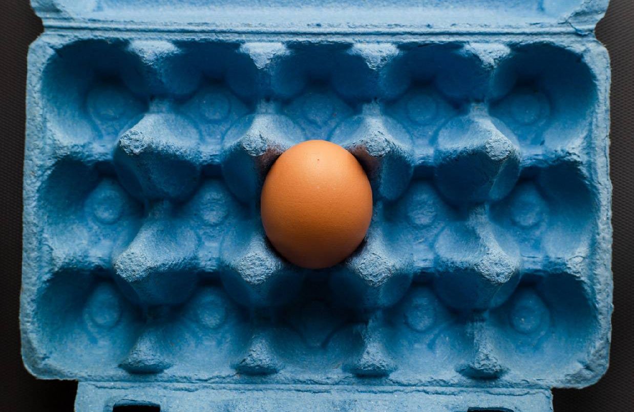 A single egg nestled in the safety of an egg carton. Next Avenue, investing high inflation