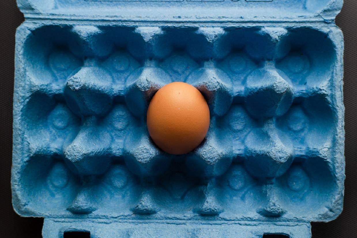 A single egg nestled in the safety of an egg carton. Next Avenue, investing high inflation