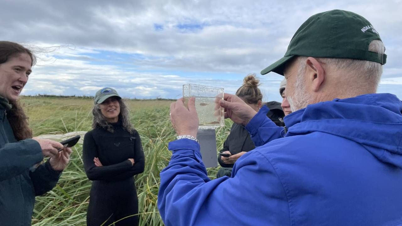 A group of scientists observing fish in a remote river. Next Avenue, NOAA