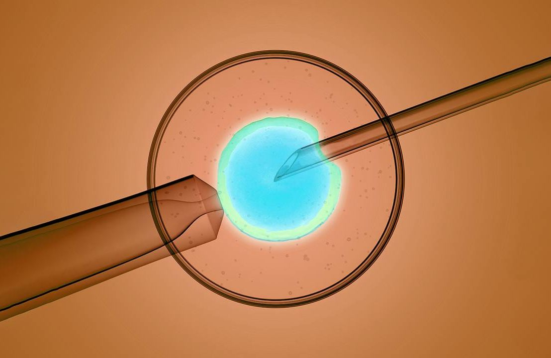 A 3D rendering of sperm donation at a fertility clinic. Next Avenue, Anonymous sperm donor, I just found out I'm a sperm donor baby