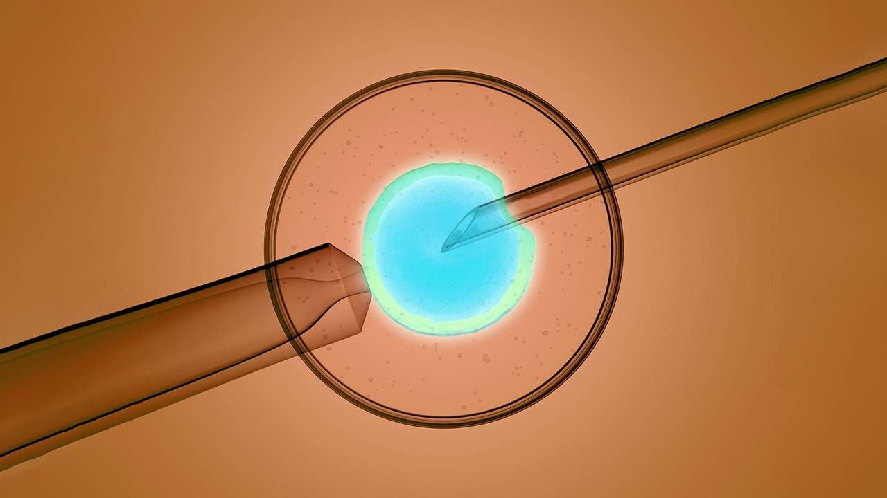 A 3D rendering of sperm donation at a fertility clinic. Next Avenue, Anonymous sperm donor, I just found out I'm a sperm donor baby
