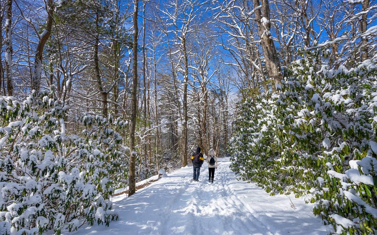 Two friends walking outside in the snow. Next Avenue, loneliness during the holidays