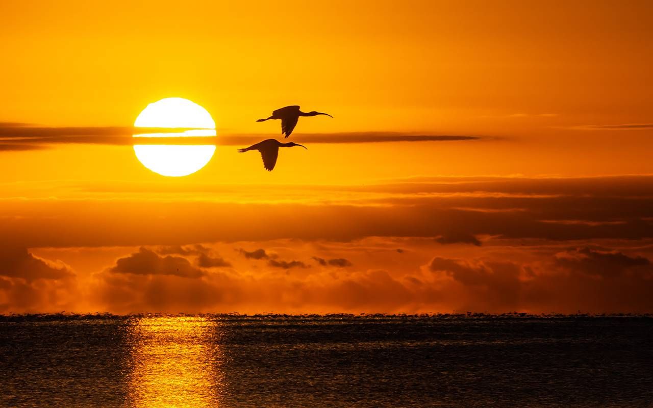 Sunset Beach Central on Instagram: “Torn between two brothers