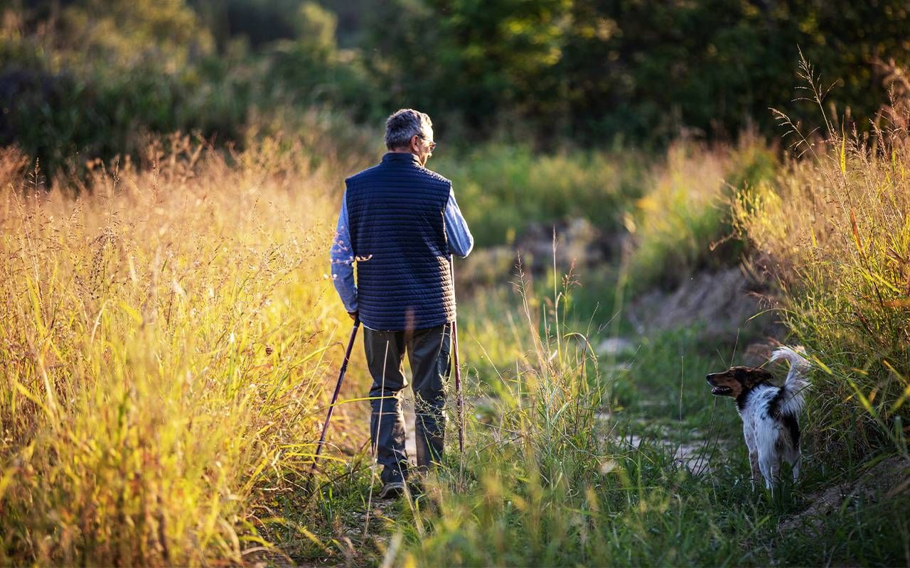 A man with walking sticks walking his dog. Next Avenue