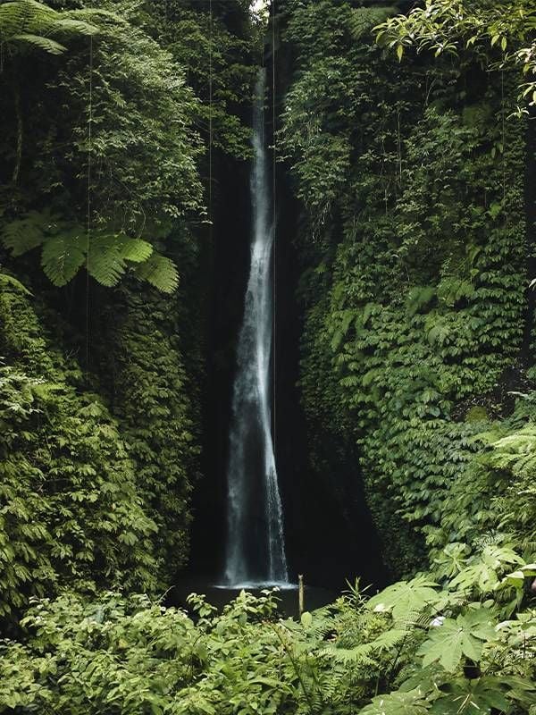 A waterfall in a lush green jungle. Next Avenue, best places to retire