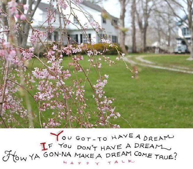 Susan Branch at a Girls' Night Out will share insights and stories from  Martha's Vineyard: Isle of Dreams