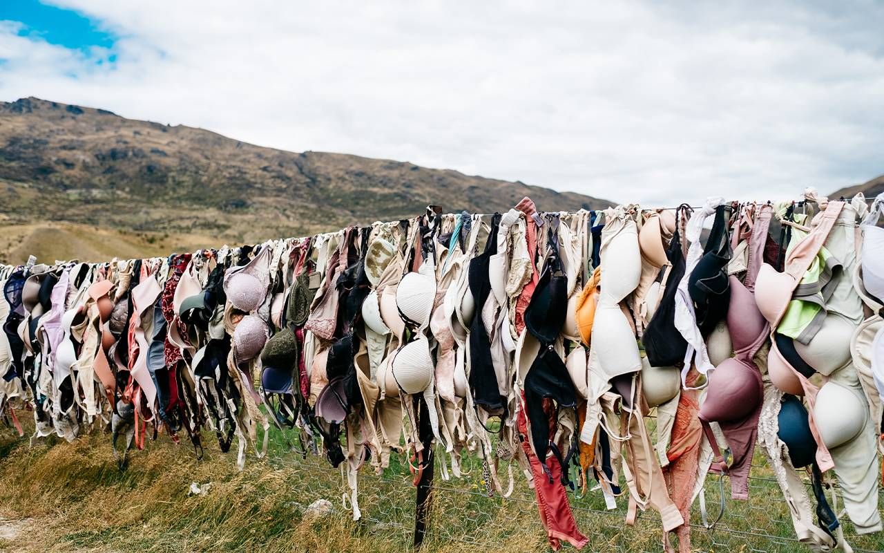 Hundreds of different bras hanging on a clothes line.