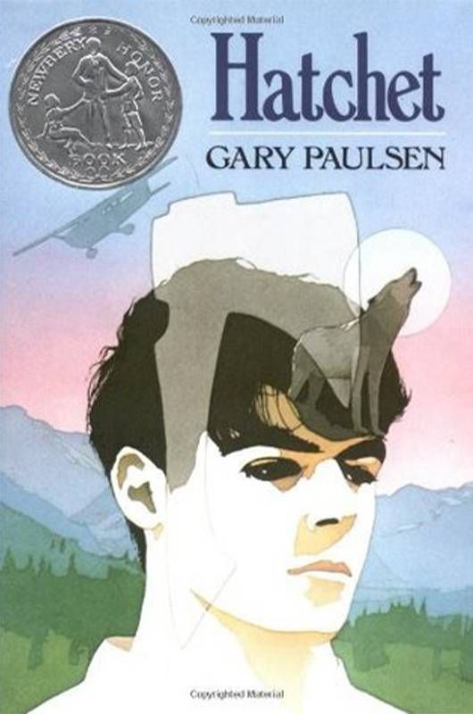 Book cover of The Hatchet by Gary Paulsen. Next Avenue