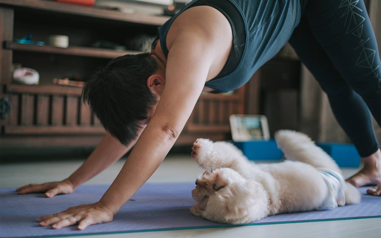 A person exercising at home for one minute. Next Avenue