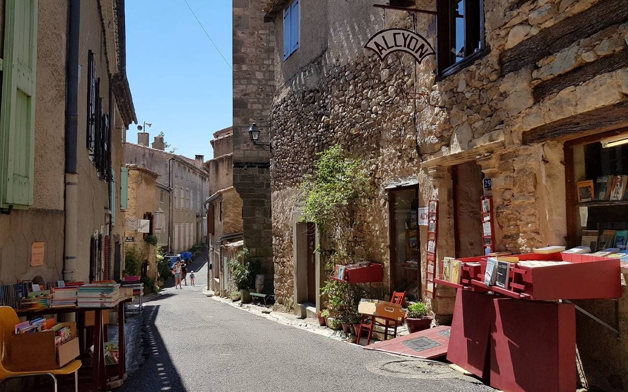 A European alley with bookshops and people walking. Next Avenue, book towns