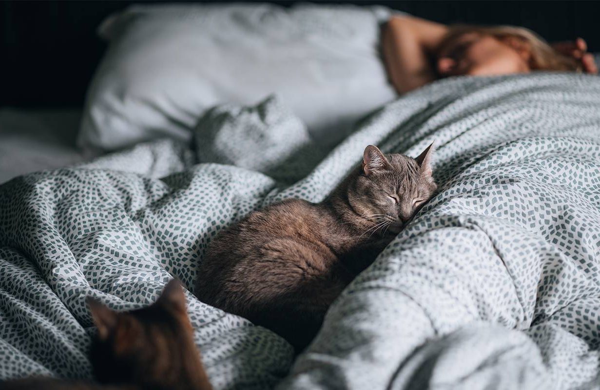 A woman sleeping in bed next to a cute kitten. Next Avenue, sleep, healthy skin