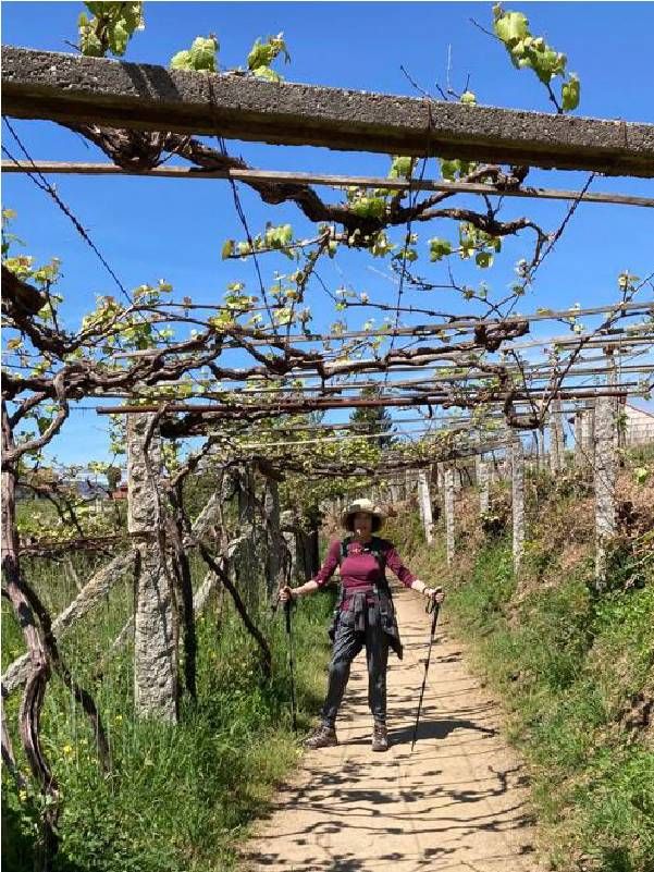 A person standing underneath grape vines. Next Avenue, Camino Trail