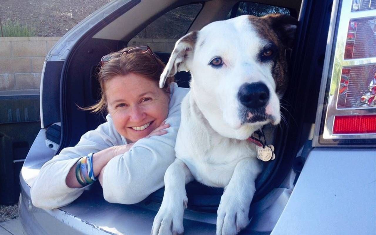 A woman and a dog in a car. Next Avenue, pets