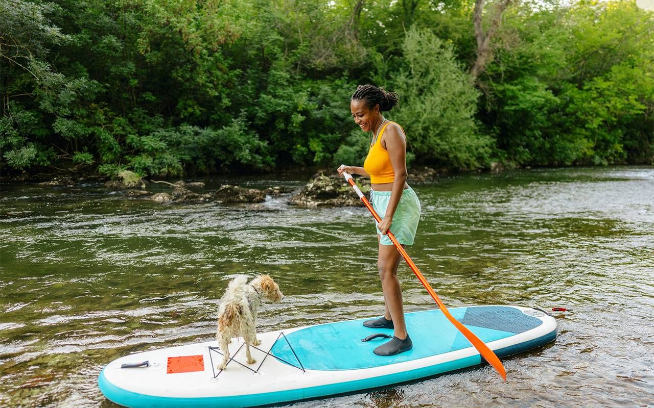 A person paddle boarding with their dog. Next Avenue