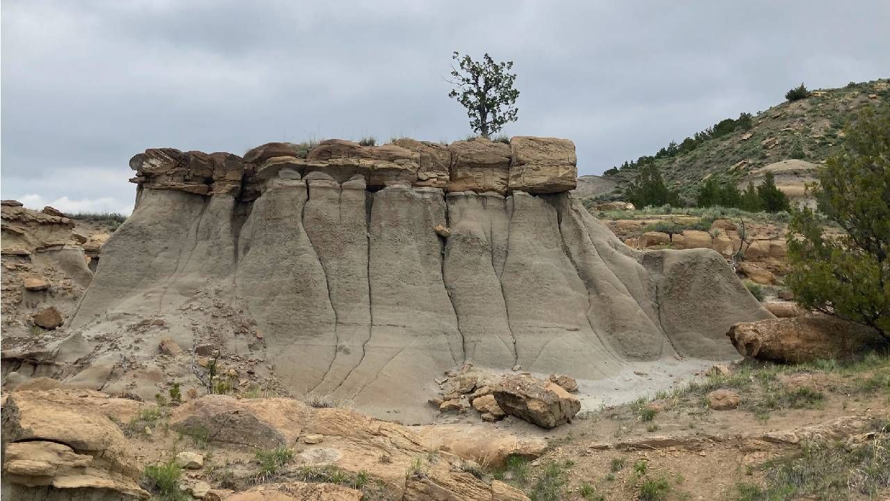 A rock with a tree growing on top. Next Avenue, camping solo