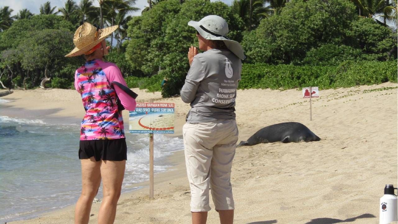 Two women talking on a beach with a seal in the foreground. Next Avenue, Marine Mammal Center