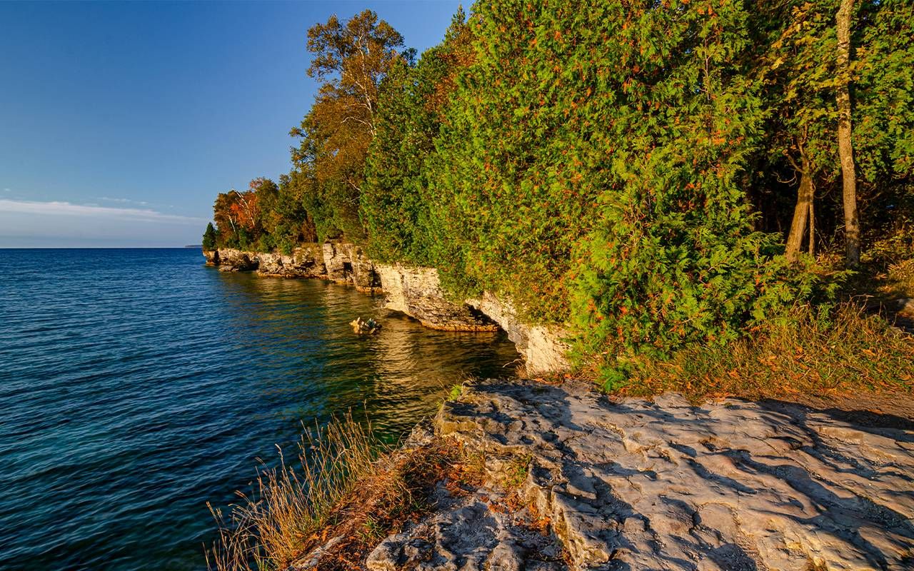 Fall leaves on trees along the lakeshore. Next Avenue, Door County Wisconsin Travel