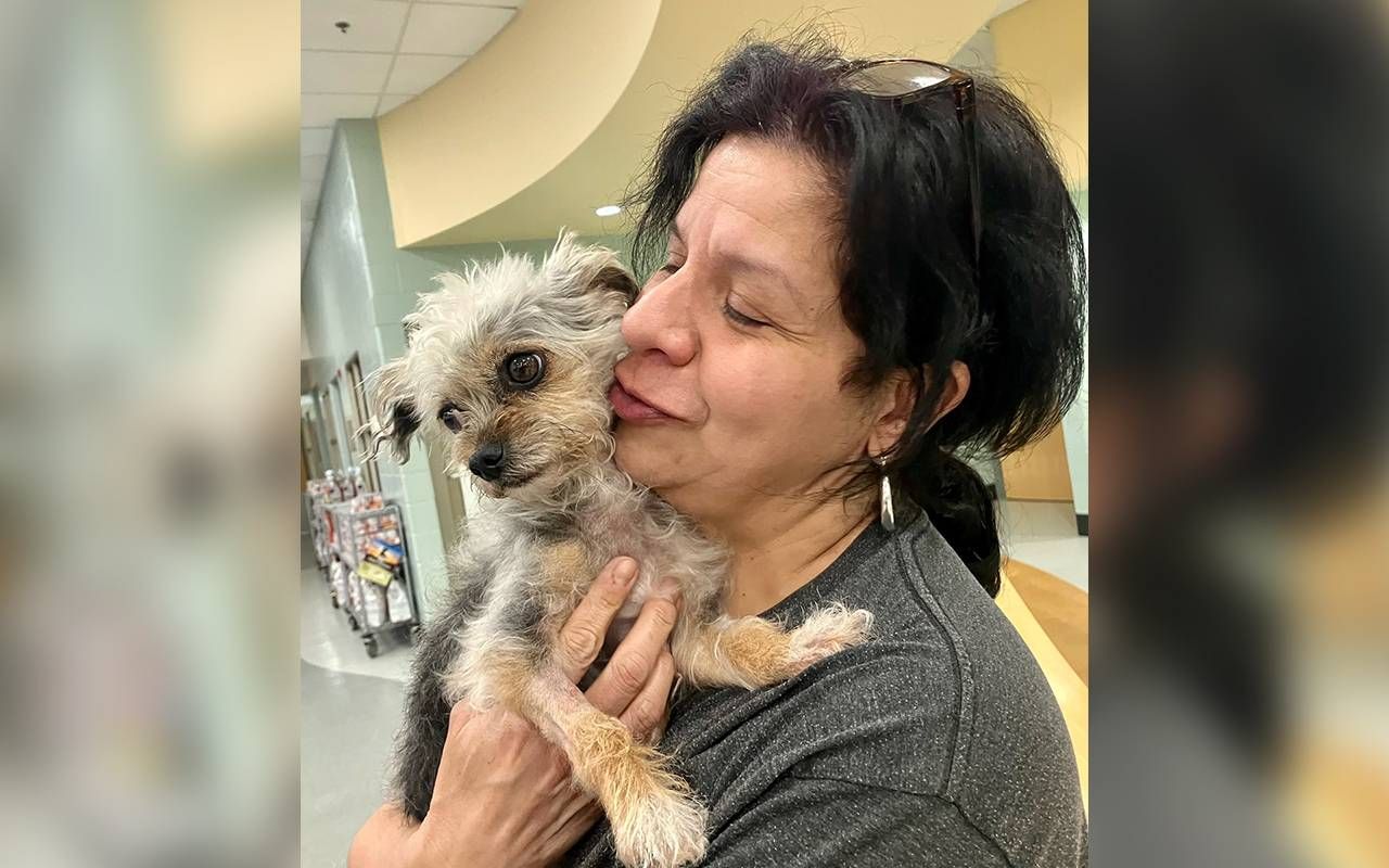 A pet owner smiling with her dog. Next Avenue