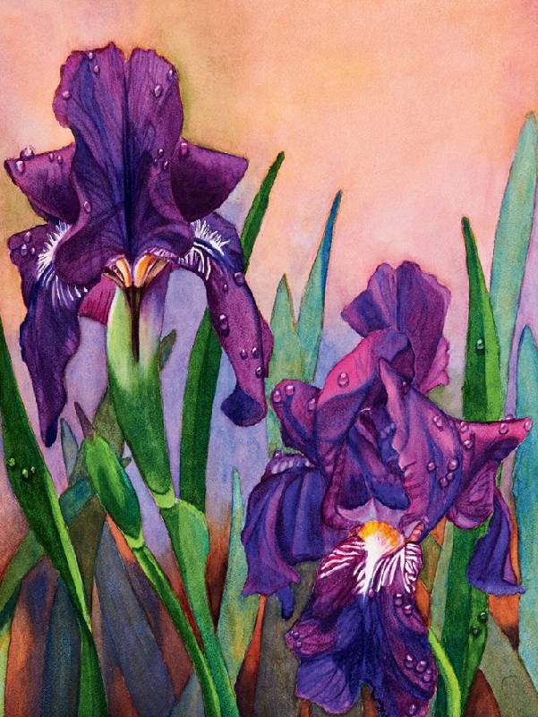 A colorful painting of purple iris flowers. Next Avenue